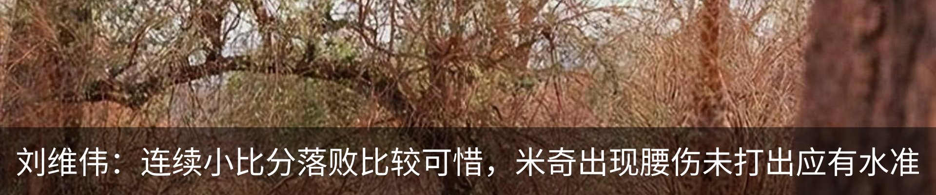 内页banner